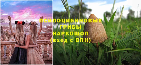 синтетический гашиш Белокуриха
