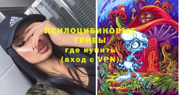 jwh Богородск